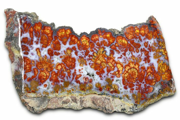 Wingate Pass Plume Agate Slab - California #378066